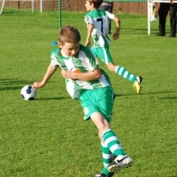 Ppripravka_zari
