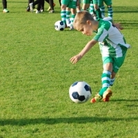 Ppripravka_zari