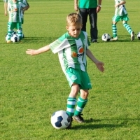 Ppripravka_zari