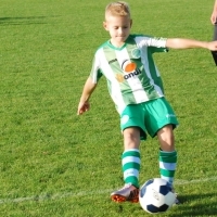Ppripravka_zari