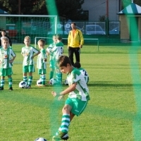 Ppripravka_zari