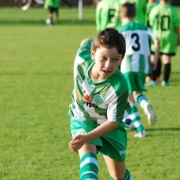 Ppripravka_zari