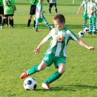Ppripravka_zari