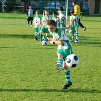 Ppripravka_zari
