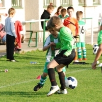 Ppripravka_zari