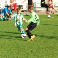 Ppripravka_zari