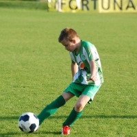Ppripravka_zari
