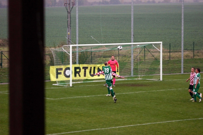 brandysek