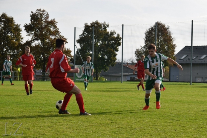 dsc_0142.jpg dsc_0142.jpg