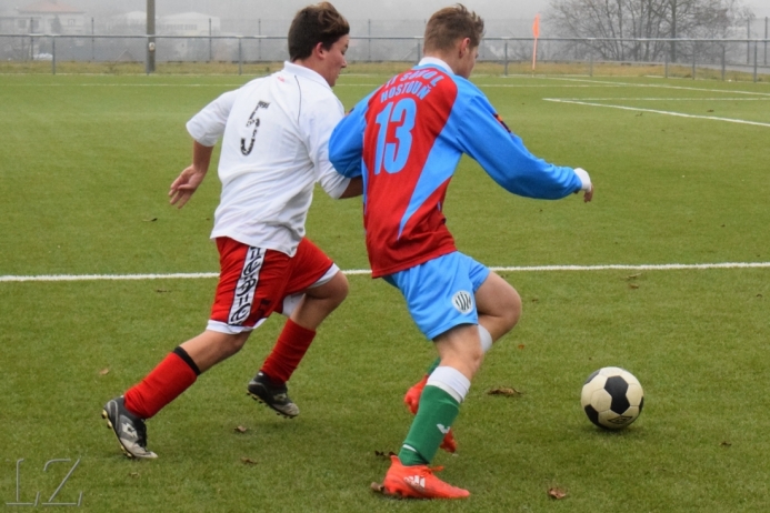 dsc_0156.jpg dsc_0156.jpg