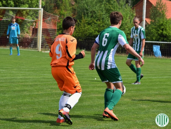 dsc_0300.jpg dsc_0300.jpg