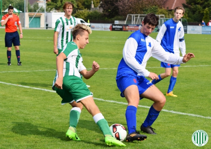 hostouň-družec (14).jpg hostouň-družec (14).jpg