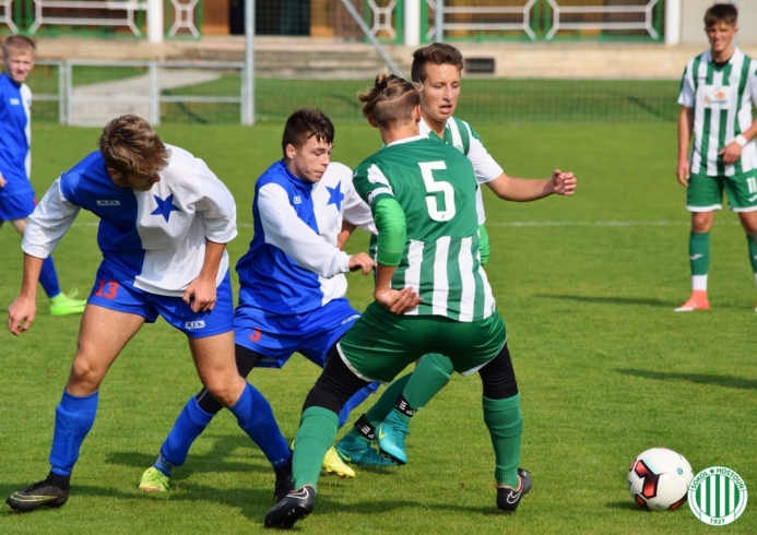 hostouň-družec (4).jpg hostouň-družec (4).jpg