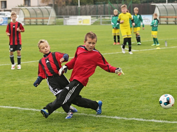 25_krocehlavy_svermov3_9_20170916boh.jpg 25_krocehlavy_svermov3_9_20170916boh.jpg