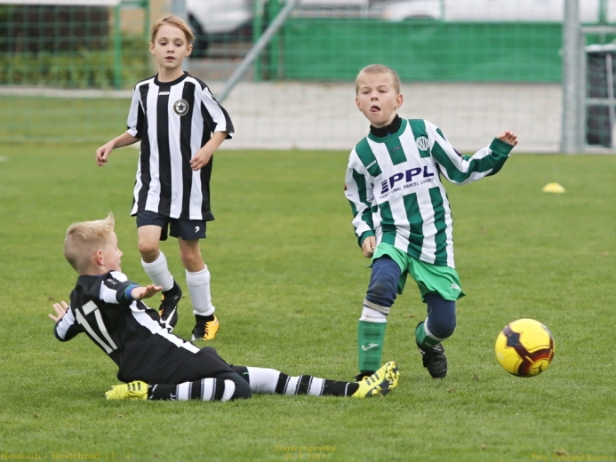 1_hostoun_bustehrad11_1_20170916boh.jpg 1_hostoun_bustehrad11_1_20170916boh.jpg