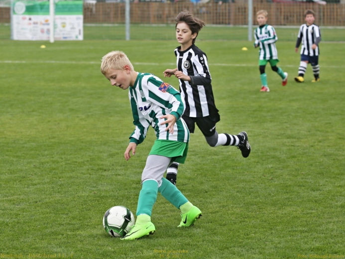 3_hostoun_bustehrad11_1_20170916boh.jpg 3_hostoun_bustehrad11_1_20170916boh.jpg