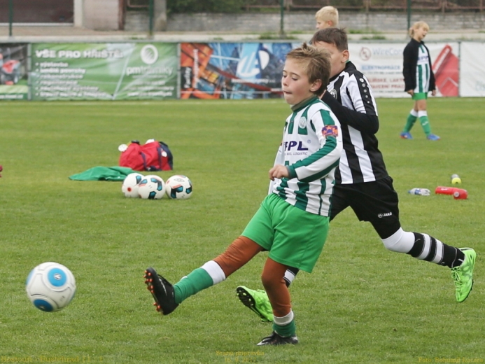 4_hostoun_bustehrad11_1_20170916boh.jpg 4_hostoun_bustehrad11_1_20170916boh.jpg