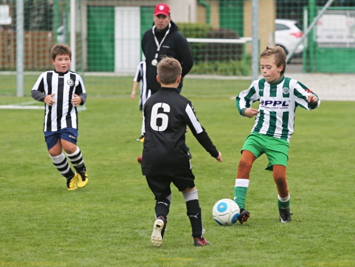 6_hostoun_bustehrad11_1_20170916boh.jpg 6_hostoun_bustehrad11_1_20170916boh.jpg