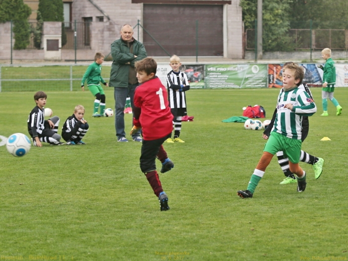 5_hostoun_bustehrad11_1_20170916boh.jpg 5_hostoun_bustehrad11_1_20170916boh.jpg