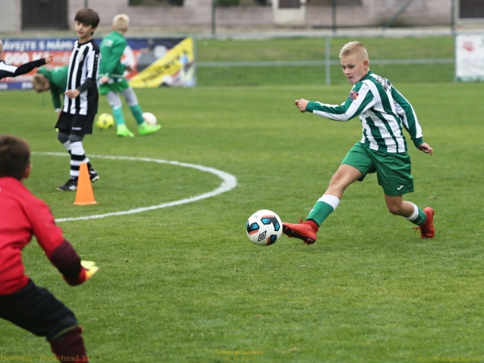 11_hostoun_bustehrad11_1_20170916boh.jpg 11_hostoun_bustehrad11_1_20170916boh.jpg