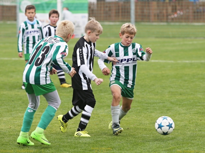 13_hostoun_bustehrad11_1_20170916boh.jpg 13_hostoun_bustehrad11_1_20170916boh.jpg