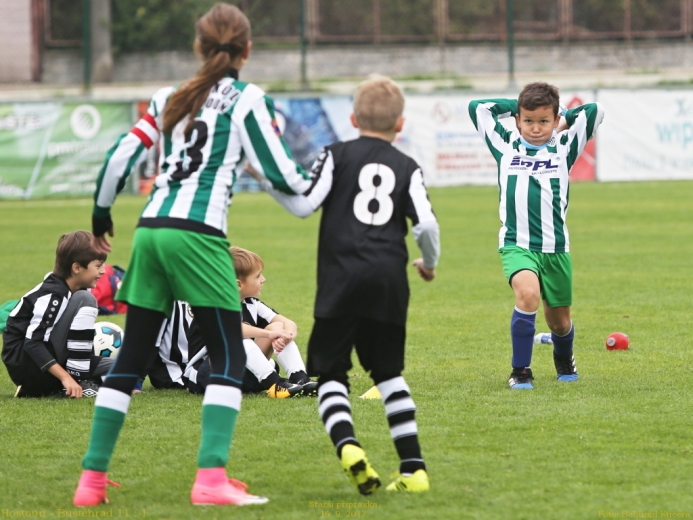 14_hostoun_bustehrad11_1_20170916boh.jpg 14_hostoun_bustehrad11_1_20170916boh.jpg
