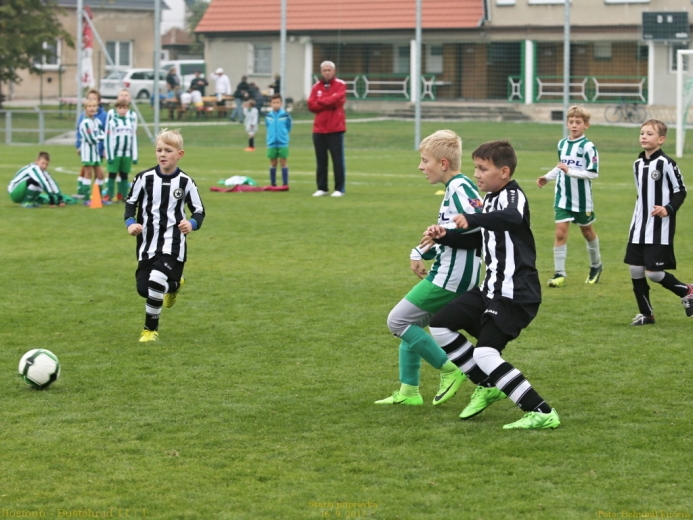 12_hostoun_bustehrad11_1_20170916boh.jpg 12_hostoun_bustehrad11_1_20170916boh.jpg