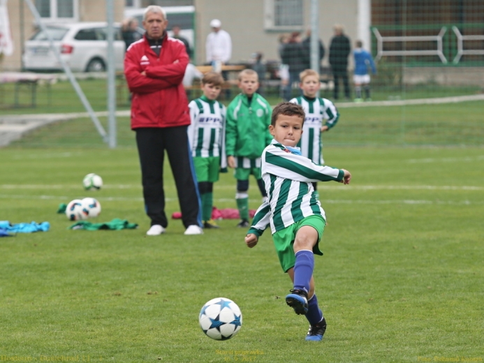 16_hostoun_bustehrad11_1_20170916boh.jpg 16_hostoun_bustehrad11_1_20170916boh.jpg