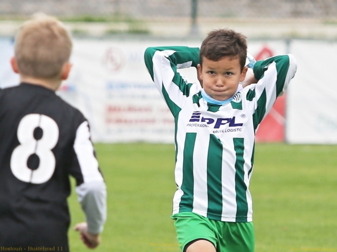 14x_hostoun_bustehrad11_1_20170916boh.jpg 14x_hostoun_bustehrad11_1_20170916boh.jpg