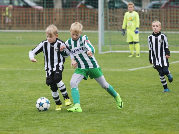 17_hostoun_bustehrad11_1_20170916boh.jpg 17_hostoun_bustehrad11_1_20170916boh.jpg