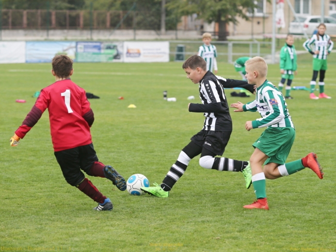 7_hostoun_bustehrad11_1_20170916boh.jpg 7_hostoun_bustehrad11_1_20170916boh.jpg