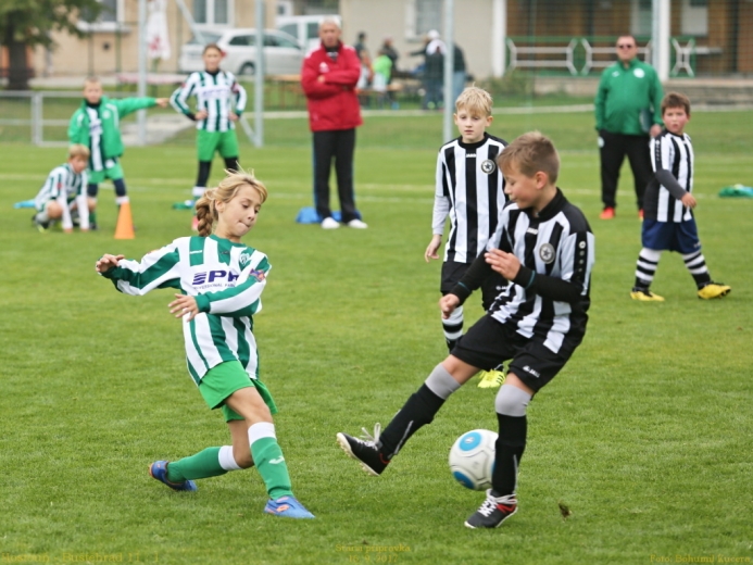 8_hostoun_bustehrad11_1_20170916boh.jpg 8_hostoun_bustehrad11_1_20170916boh.jpg