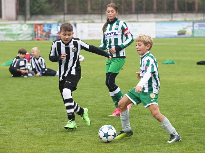 19_hostoun_bustehrad11_1_20170916boh.jpg 19_hostoun_bustehrad11_1_20170916boh.jpg