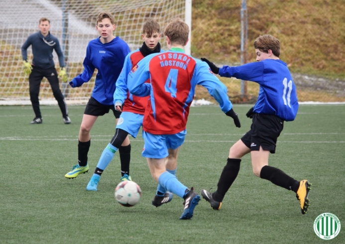hostouň-teplýšovice (13).jpg hostouň-teplýšovice (13).jpg