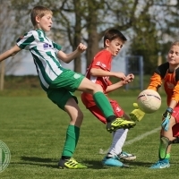 Zlonice - Hostouň 2:12, SP Zlonice - Hostouň 2:12, SP