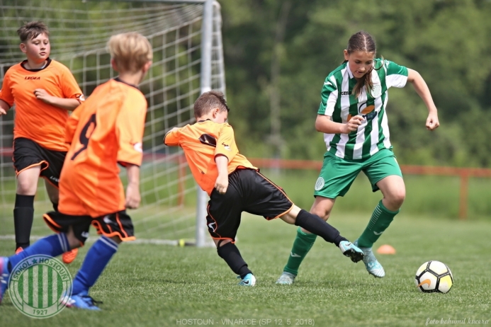 Hostouň - Vinařice 7:1 SP Hostouň - Vinařice 7:1 SP