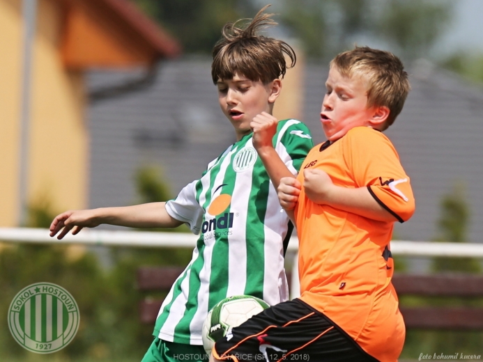 Hostouň - Vinařice 7:1 SP Hostouň - Vinařice 7:1 SP