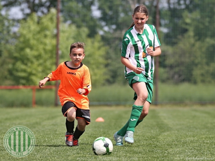 Hostouň - Vinařice 7:1 SP Hostouň - Vinařice 7:1 SP
