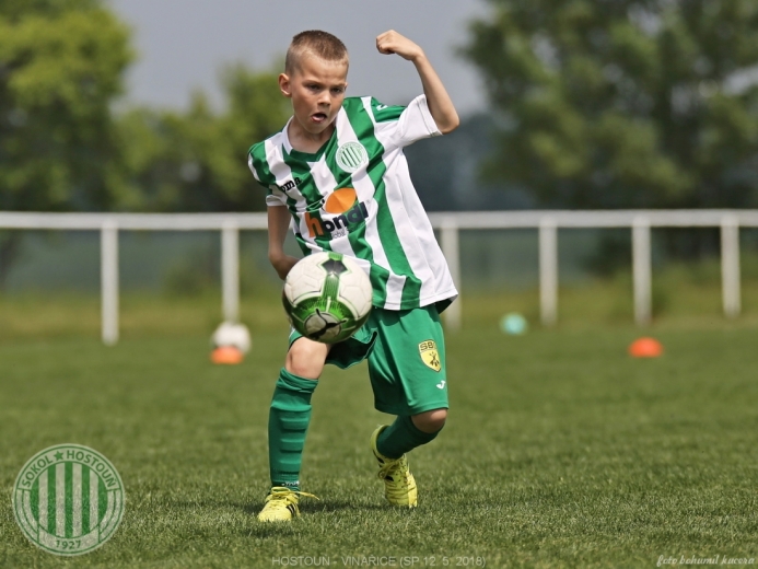 Hostouň - Vinařice 7:1 SP Hostouň - Vinařice 7:1 SP