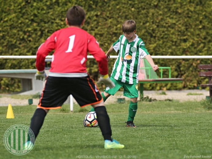 Hostouň - Vinařice 7:1 SP Hostouň - Vinařice 7:1 SP