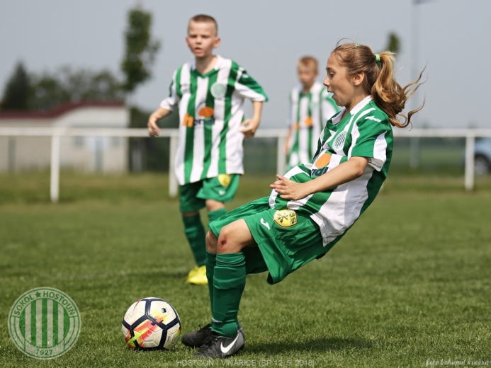 Hostouň - Vinařice 7:1 SP Hostouň - Vinařice 7:1 SP