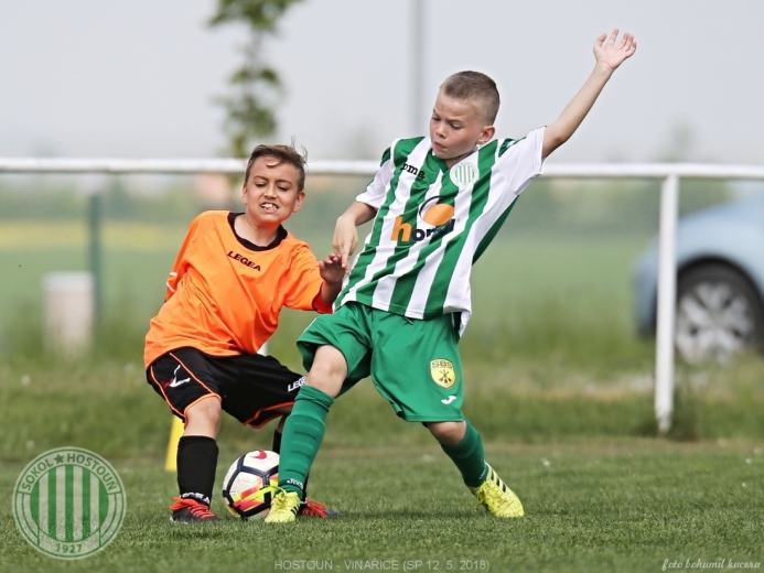 Hostouň - Vinařice 7:1 SP Hostouň - Vinařice 7:1 SP