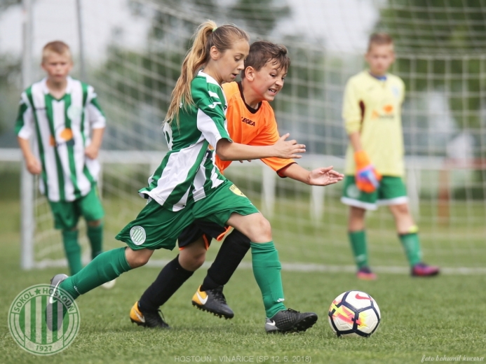 Hostouň - Vinařice 7:1 SP Hostouň - Vinařice 7:1 SP