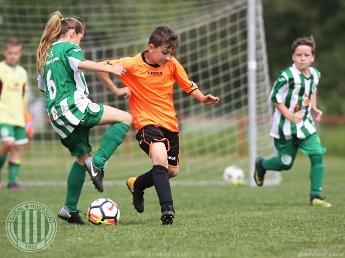 Hostouň - Vinařice 7:1 SP Hostouň - Vinařice 7:1 SP