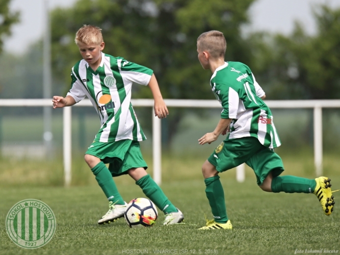Hostouň - Vinařice 7:1 SP Hostouň - Vinařice 7:1 SP
