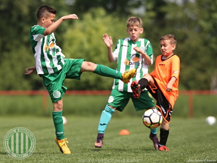 Hostouň - Vinařice 7:1 SP Hostouň - Vinařice 7:1 SP