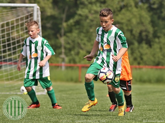 Hostouň - Vinařice 7:1 SP Hostouň - Vinařice 7:1 SP