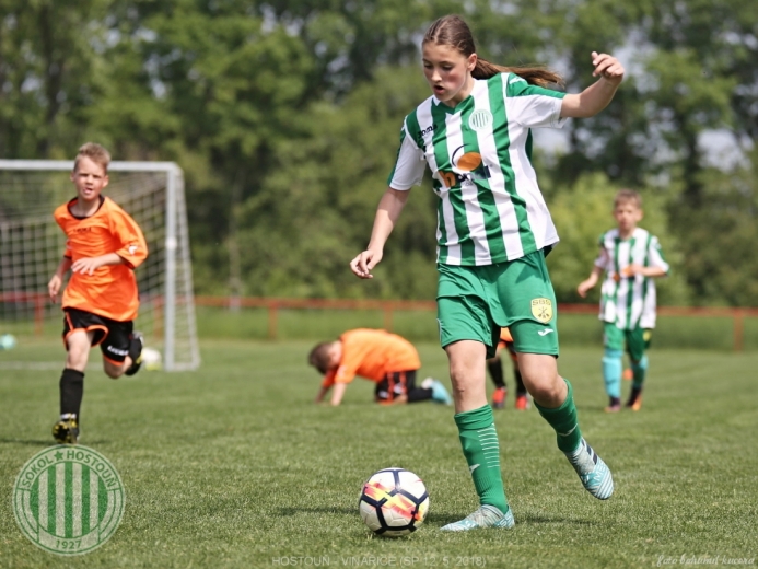 Hostouň - Vinařice 7:1 SP Hostouň - Vinařice 7:1 SP
