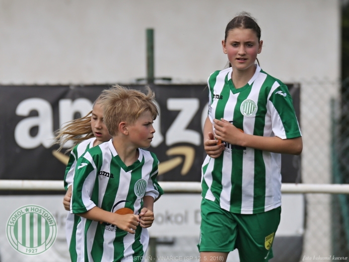 Hostouň - Vinařice 7:1 SP Hostouň - Vinařice 7:1 SP