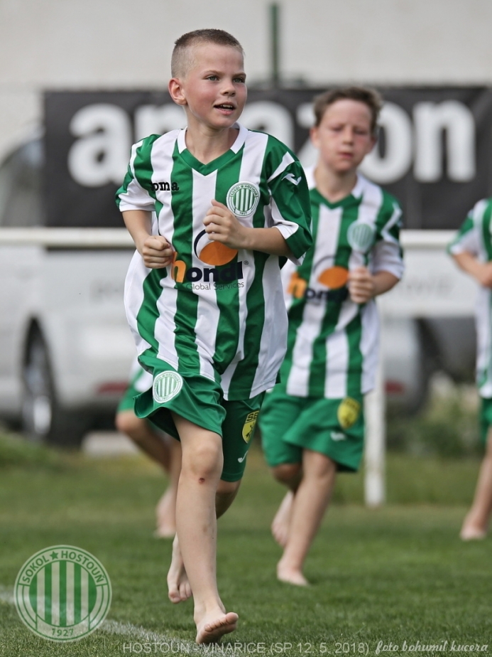 Hostouň - Vinařice 7:1 SP